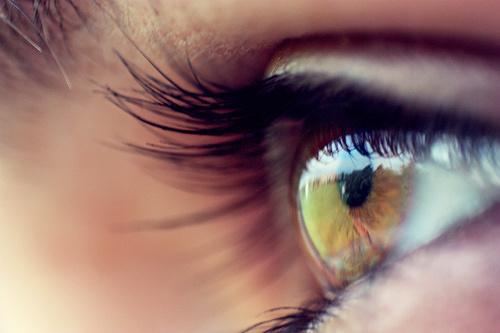 1753 eye