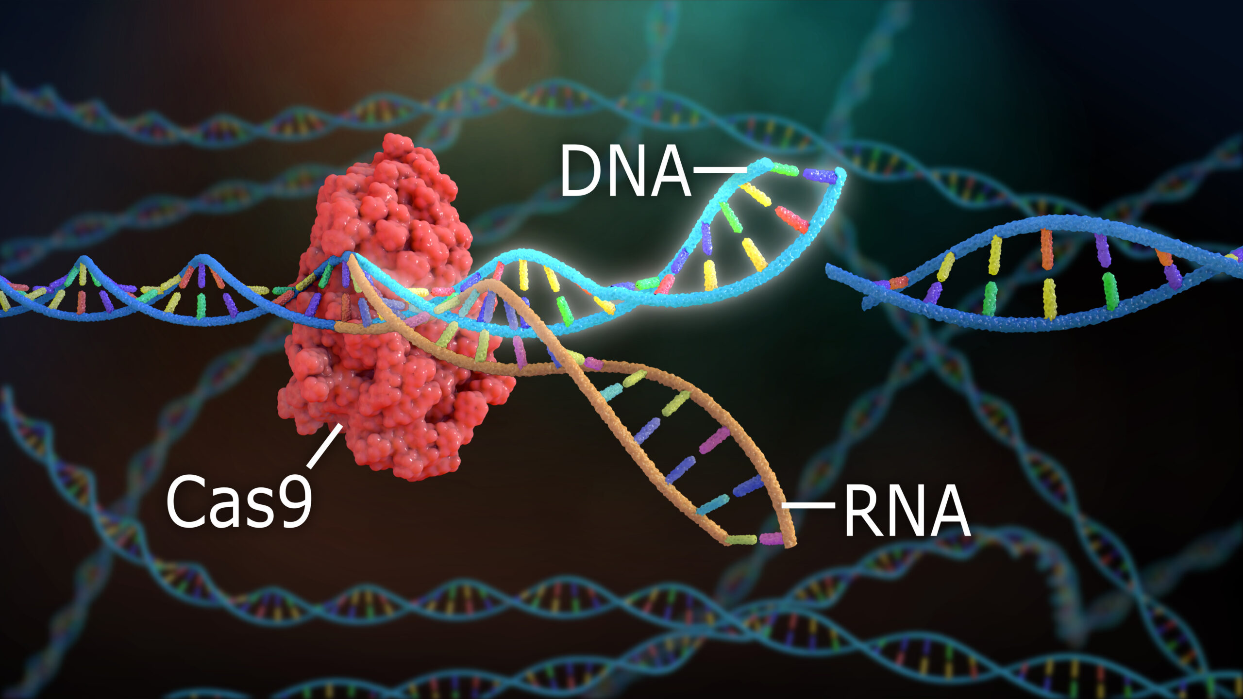 CRISPR